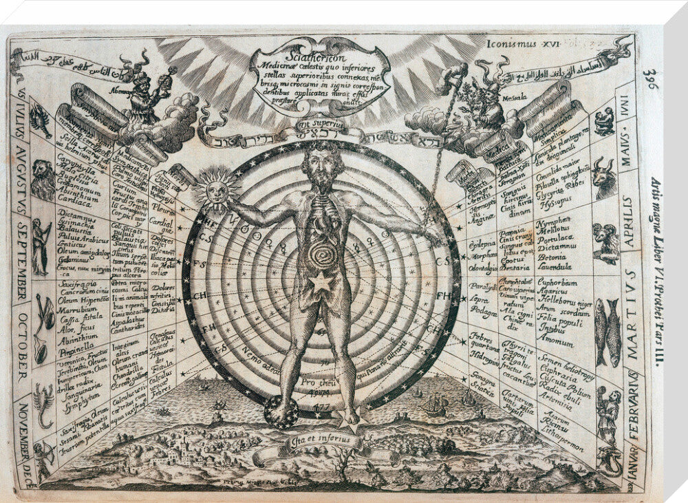 Astrological chart, 1646. stretched canvas large none Art Print - Science Museum Shop