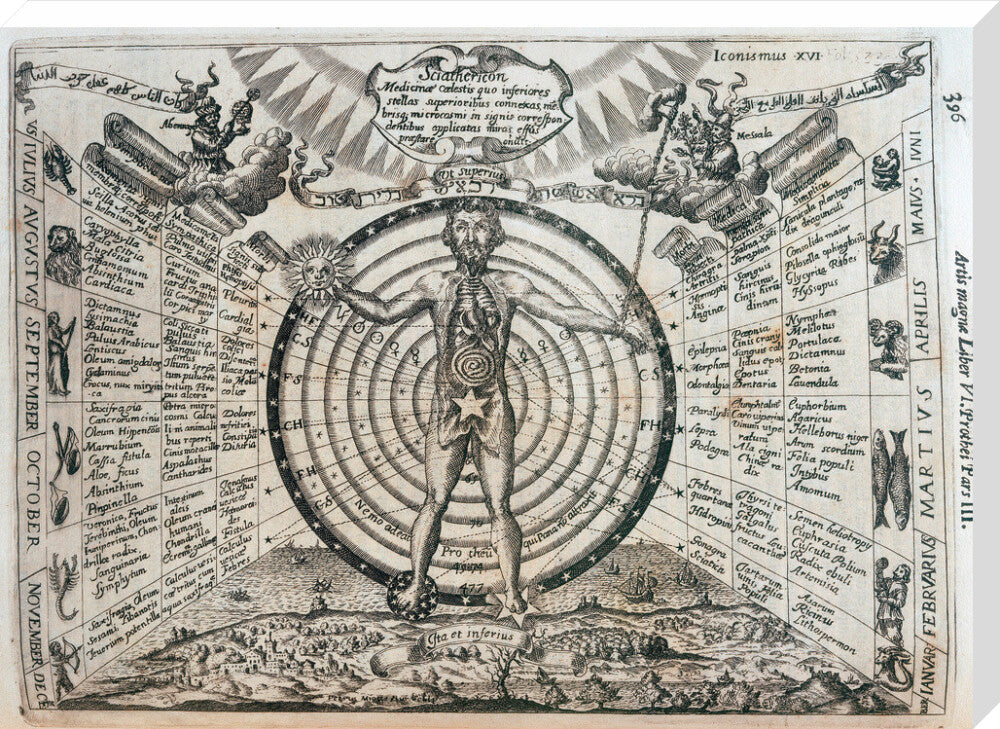 Astrological chart, 1646. stretched canvas extra large none Art Print - Science Museum Shop