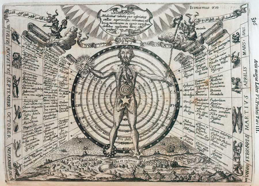 Astrological chart, 1646. Art Print - Science Museum Shop