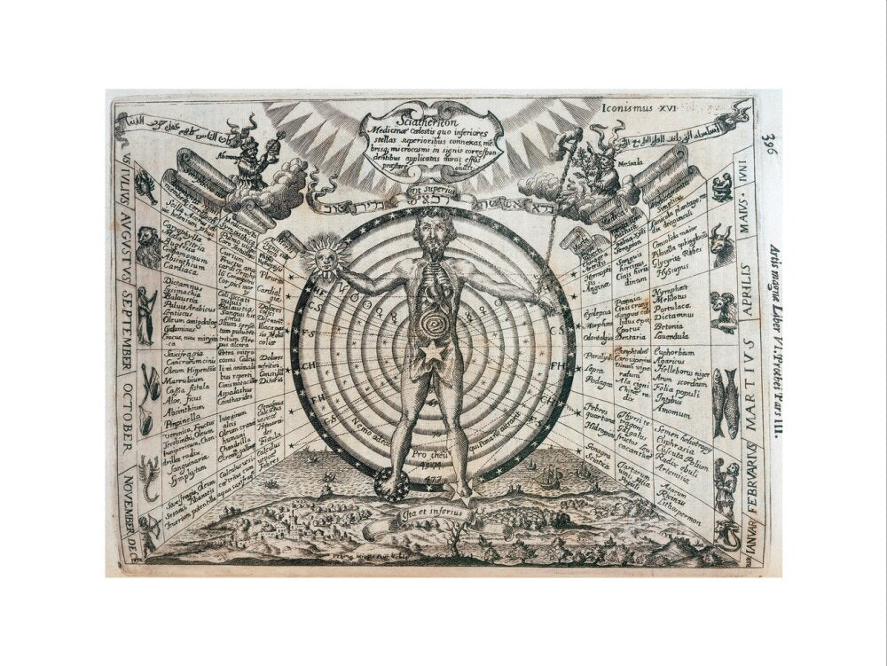 Astrological chart, 1646. art print extra large none Art Print - Science Museum Shop
