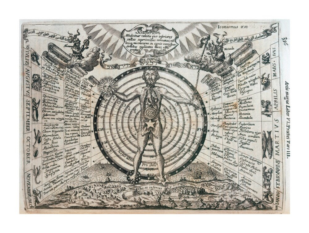 Astrological chart, 1646. unstretched canvas extra large none Art Print - Science Museum Shop