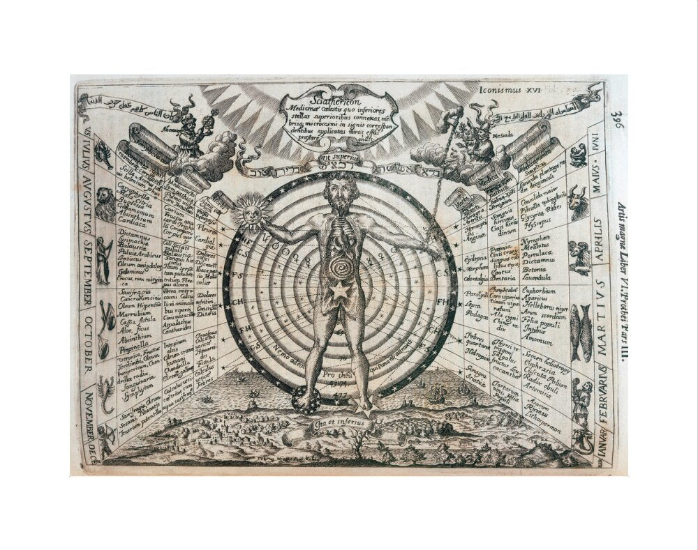 Astrological chart, 1646. art print extra small none Art Print - Science Museum Shop