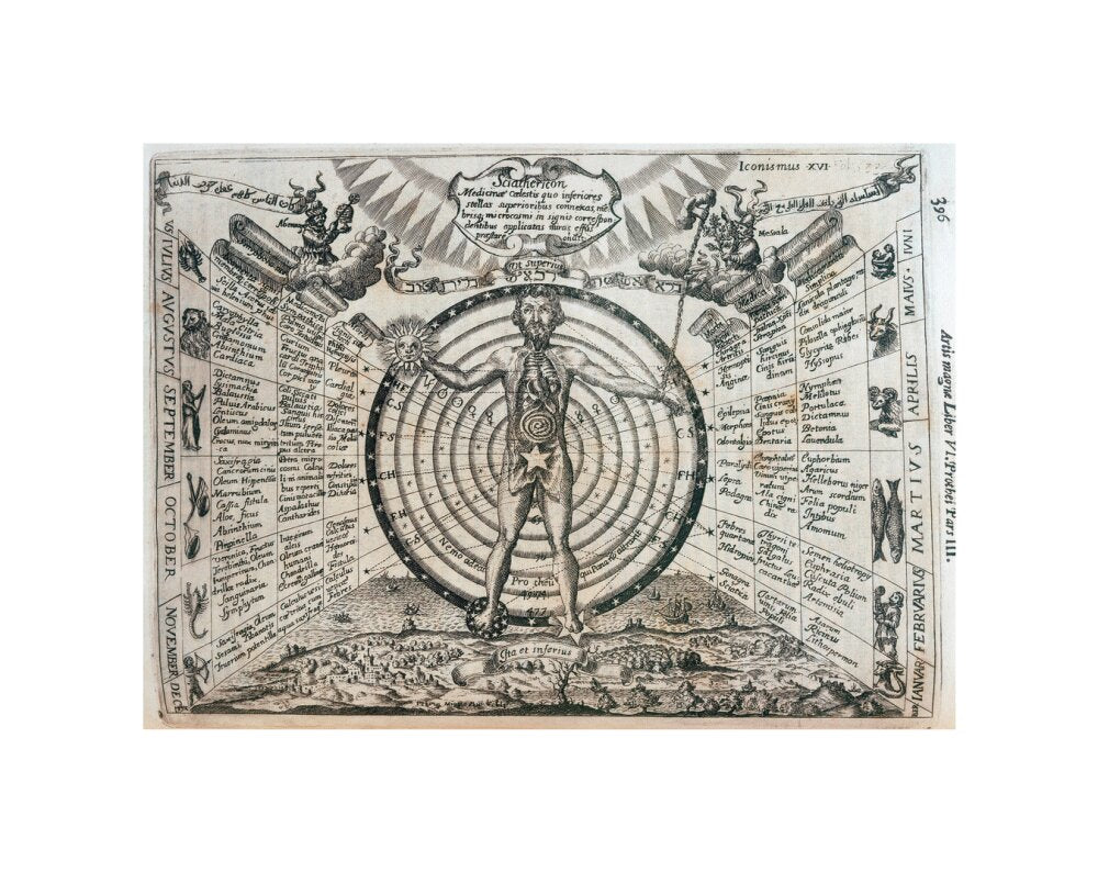 Astrological chart, 1646. unstretched canvas small none Art Print - Science Museum Shop