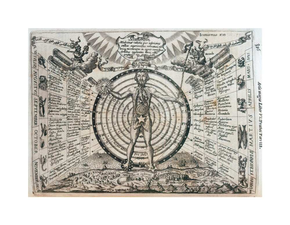 Astrological chart, 1646. unstretched canvas medium none Art Print - Science Museum Shop