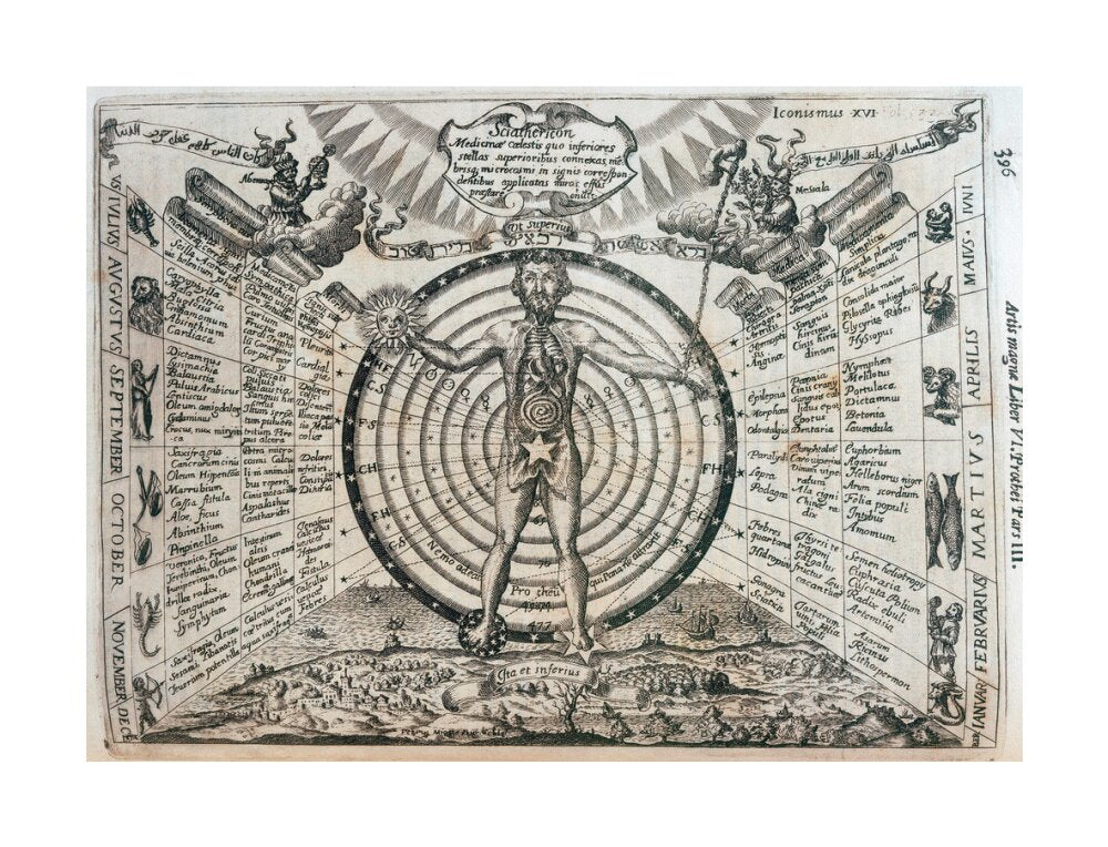 Astrological chart, 1646. unstretched canvas large none Art Print - Science Museum Shop