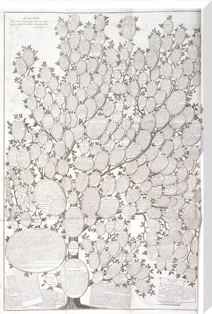 'Tree of knowledge', 1751-1765. stretched canvas extra large none Art Print - Science Museum Shop