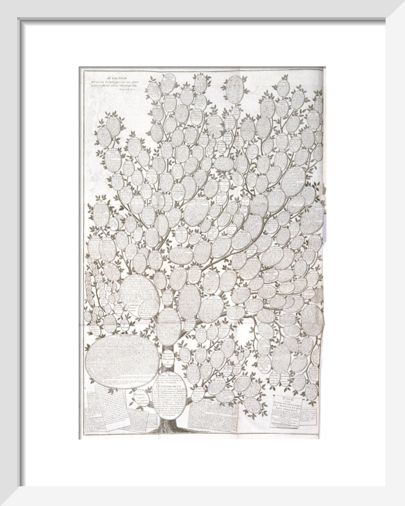 'Tree of knowledge', 1751-1765. art print extra small white Art Print - Science Museum Shop