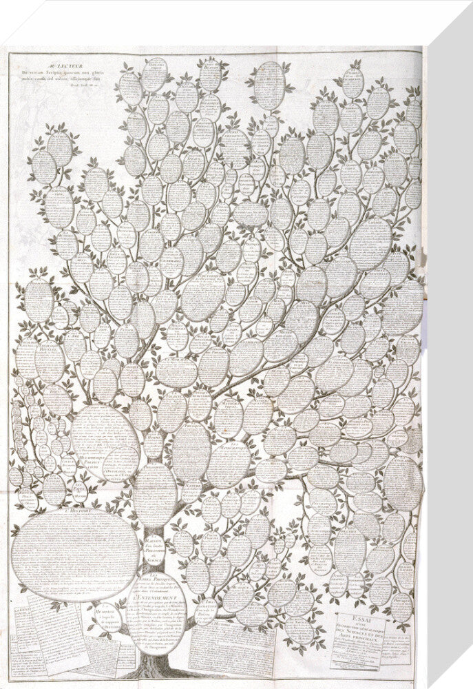 'Tree of knowledge', 1751-1765. stretched canvas small none Art Print - Science Museum Shop