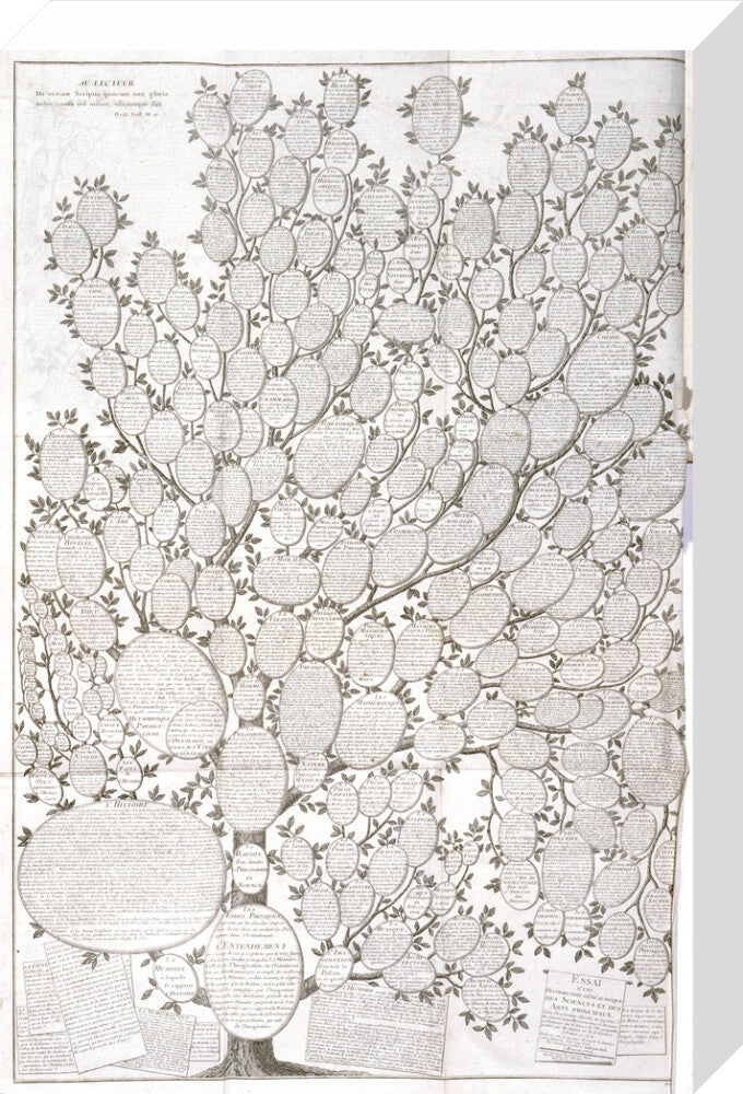 'Tree of knowledge', 1751-1765. stretched canvas medium none Art Print - Science Museum Shop