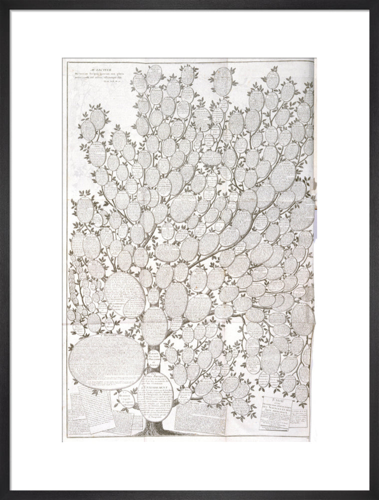 'Tree of knowledge', 1751-1765. art print large black Art Print - Science Museum Shop