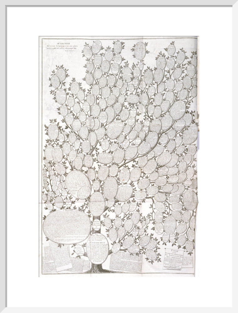 'Tree of knowledge', 1751-1765. art print large white Art Print - Science Museum Shop