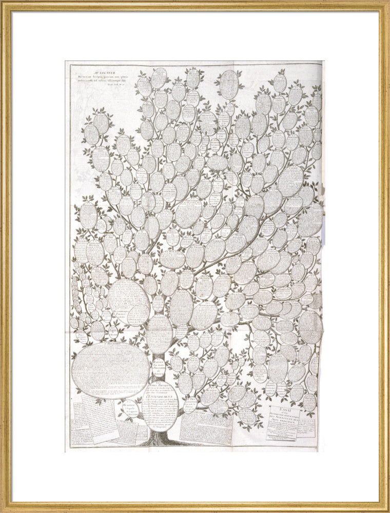 'Tree of knowledge', 1751-1765. art print extra large gold Art Print - Science Museum Shop