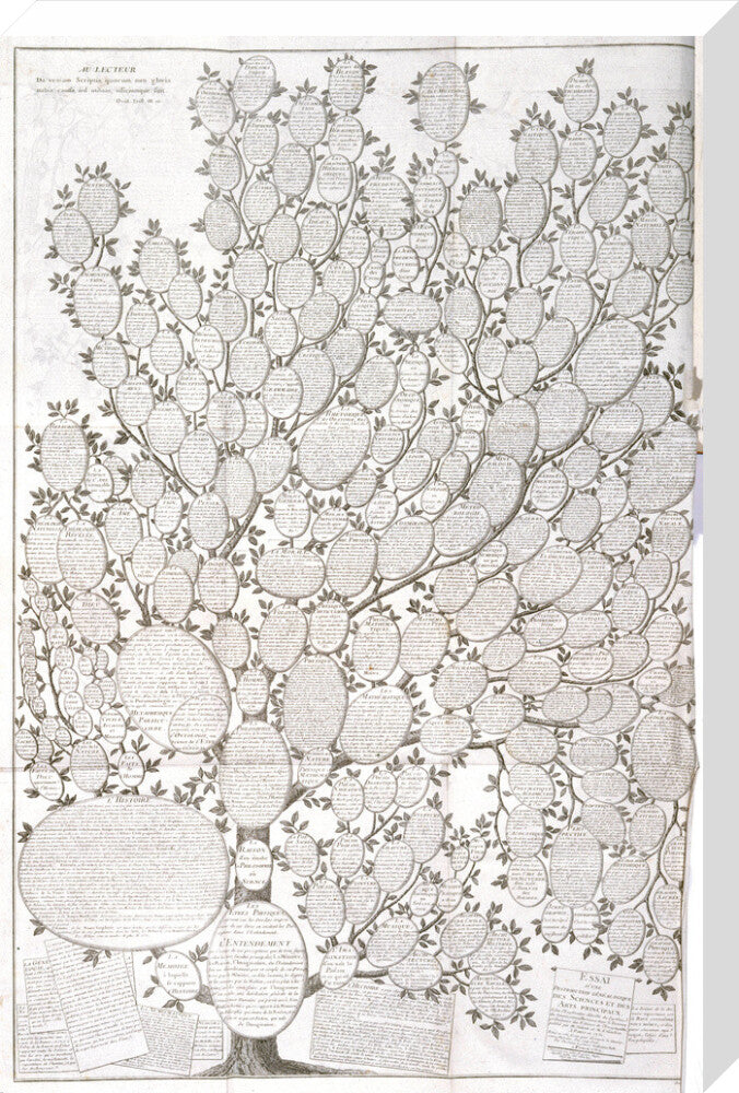 'Tree of knowledge', 1751-1765. stretched canvas large none Art Print - Science Museum Shop