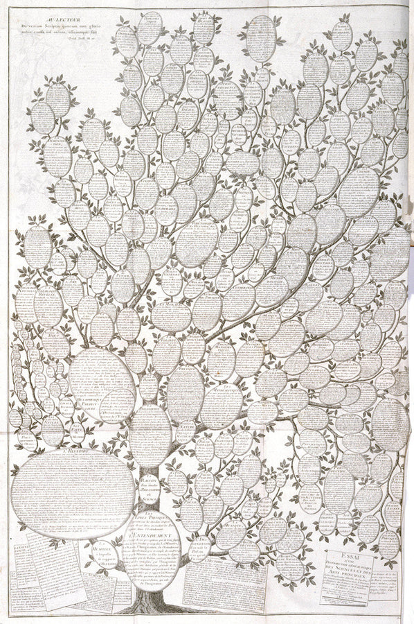 'Tree of knowledge', 1751-1765. Art Print - Science Museum Shop