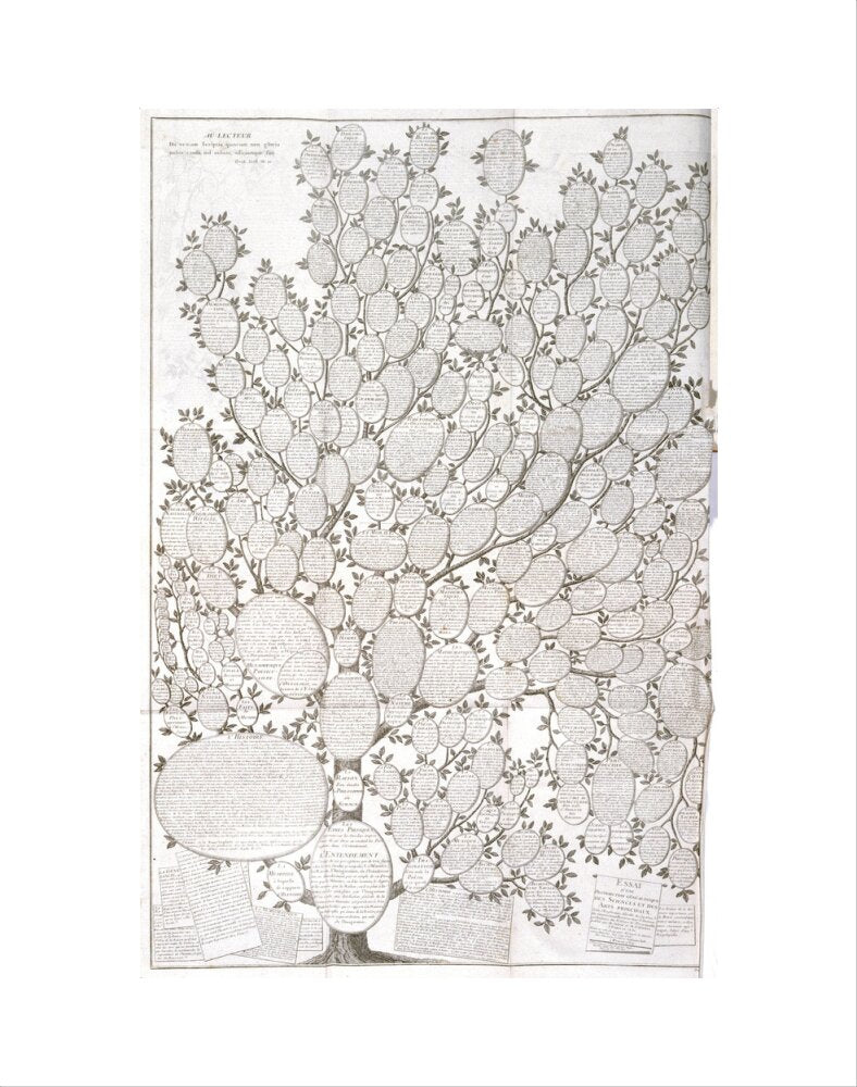 'Tree of knowledge', 1751-1765. art print extra small none Art Print - Science Museum Shop