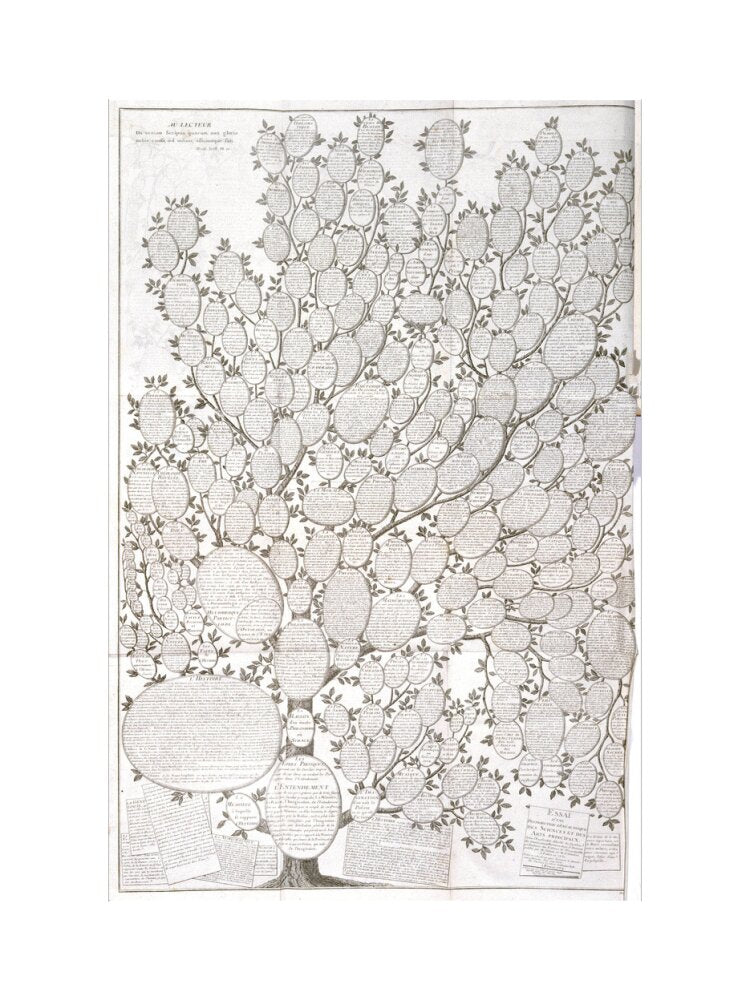 'Tree of knowledge', 1751-1765. art print small none Art Print - Science Museum Shop