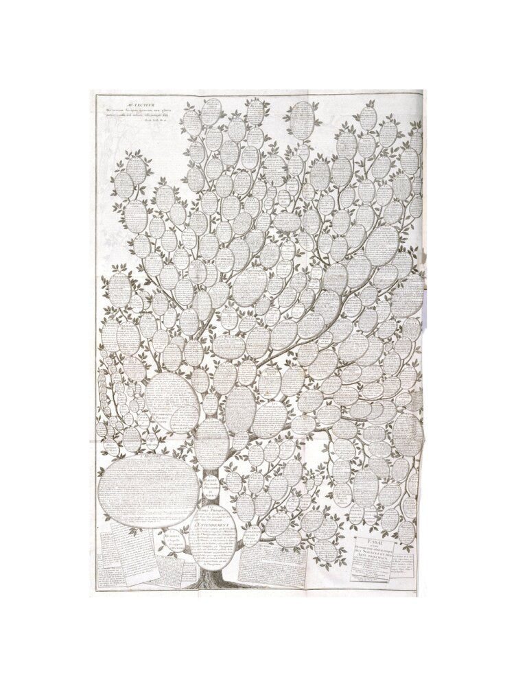 'Tree of knowledge', 1751-1765. unstretched canvas small none Art Print - Science Museum Shop