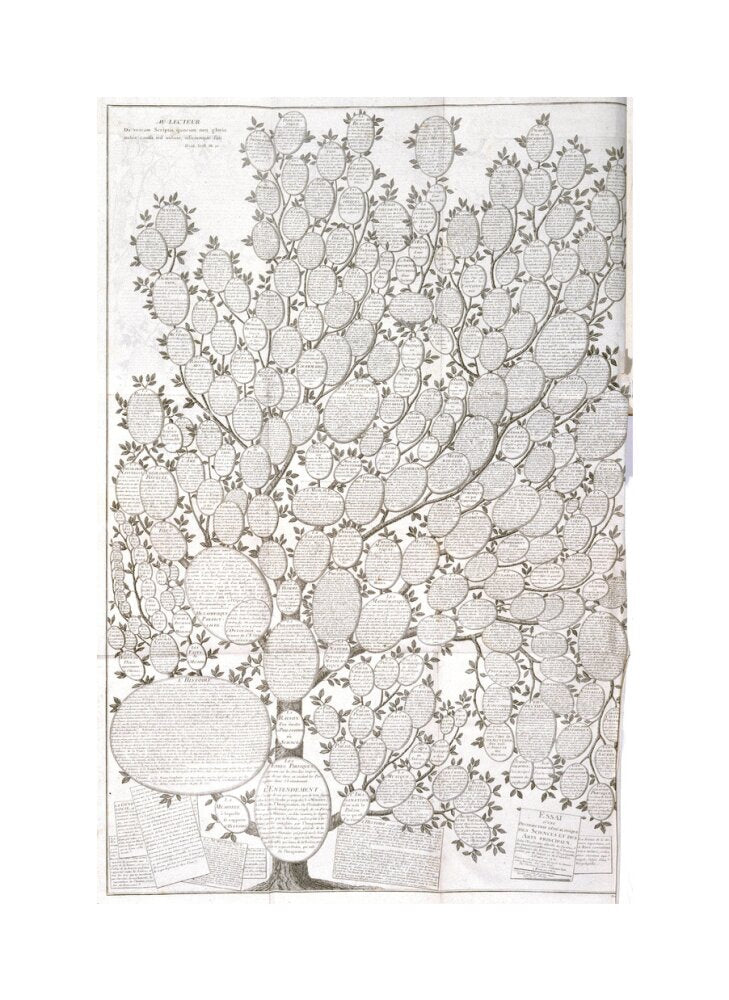 'Tree of knowledge', 1751-1765. unstretched canvas medium none Art Print - Science Museum Shop