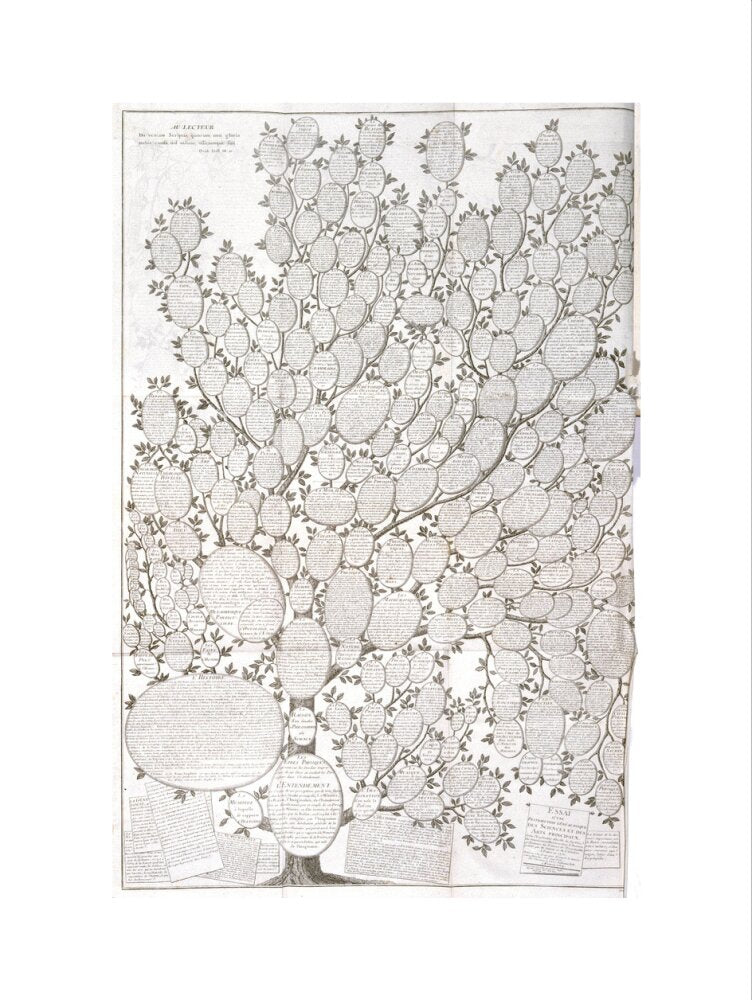 'Tree of knowledge', 1751-1765. art print large none Art Print - Science Museum Shop