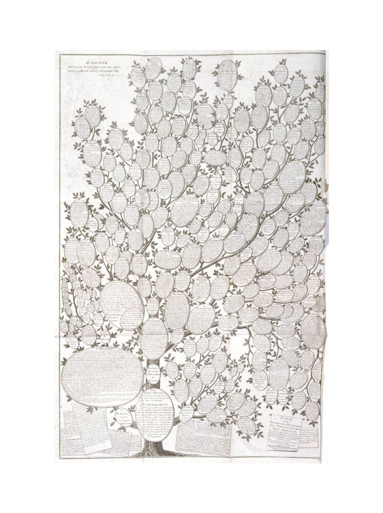 'Tree of knowledge', 1751-1765. art print extra large none Art Print - Science Museum Shop