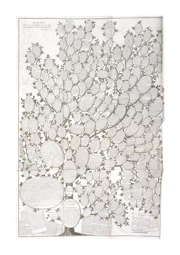 'Tree of knowledge', 1751-1765. unstretched canvas extra large none Art Print - Science Museum Shop