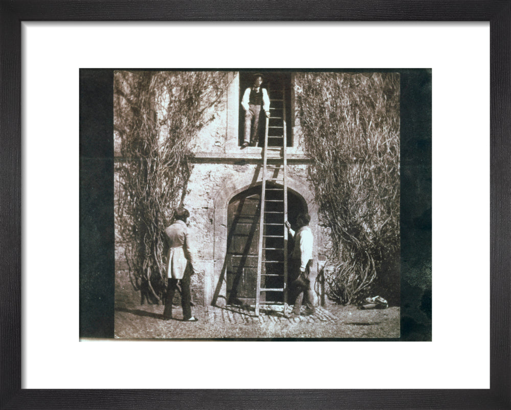 'The Ladder', c 1845. | Science Museum Shop