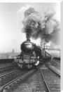 'Flying Scotsman' A3 Class steam locomotive leaving Leeds station, 1956. stretched canvas extra large none Art Print - Science Museum Shop