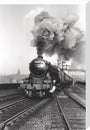 'Flying Scotsman' A3 Class steam locomotive leaving Leeds station, 1956. stretched canvas large none Art Print - Science Museum Shop