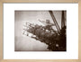 Construction works, Forth Railway Bridge, Scotland, 9 March 1887. art print small natural Art Print - Science Museum Shop
