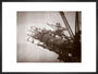 Construction works, Forth Railway Bridge, Scotland, 9 March 1887. art print large black Art Print - Science Museum Shop