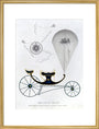 Patent kite and charvolant, 1827. art print large gold Art Print - Science Museum Shop