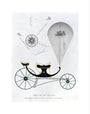 Patent kite and charvolant, 1827. art print extra small none Art Print - Science Museum Shop
