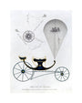 Patent kite and charvolant, 1827. unstretched canvas medium none Art Print - Science Museum Shop