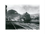 'Flying Scotsman', London, c 1950s. art print extra large none Art Print - Science Museum Shop