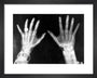 X-rays of the hands of King George and Queen Mary, 1896. art print extra small black Art Print - Science Museum Shop