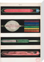 Glowing Geissler tubes, 1858. stretched canvas medium none Art Print - Science Museum Shop