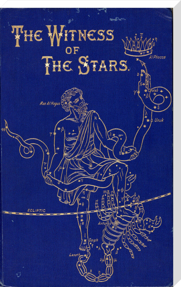 The constellations of Ophiuchus and Scorpio, 1895. stretched canvas extra large none Art Print - Science Museum Shop