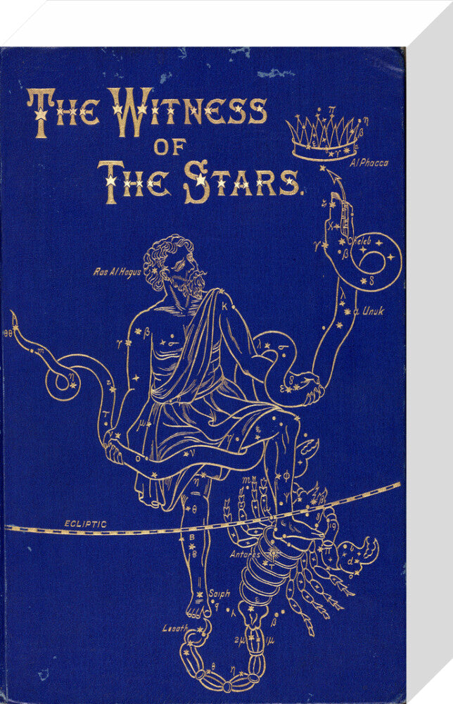 The constellations of Ophiuchus and Scorpio, 1895. stretched canvas small none Art Print - Science Museum Shop