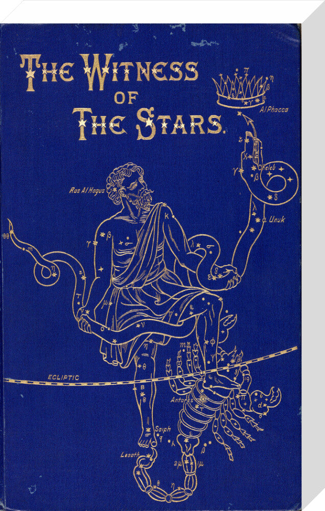 The constellations of Ophiuchus and Scorpio, 1895. stretched canvas medium none Art Print - Science Museum Shop