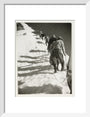 Mountain climbers, c 1925. art print small white Art Print - Science Museum Shop