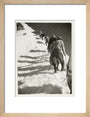 Mountain climbers, c 1925. art print small natural Art Print - Science Museum Shop