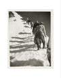 Mountain climbers, c 1925. art print extra small none Art Print - Science Museum Shop