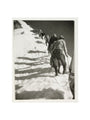 Mountain climbers, c 1925. art print small none Art Print - Science Museum Shop