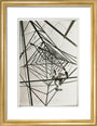Man climbing a pylon, c 1930. art print small gold Art Print - Science Museum Shop