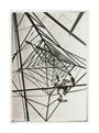 Man climbing a pylon, c 1930. unstretched canvas large none Art Print - Science Museum Shop
