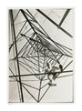 Man climbing a pylon, c 1930. unstretched canvas extra large none Art Print - Science Museum Shop