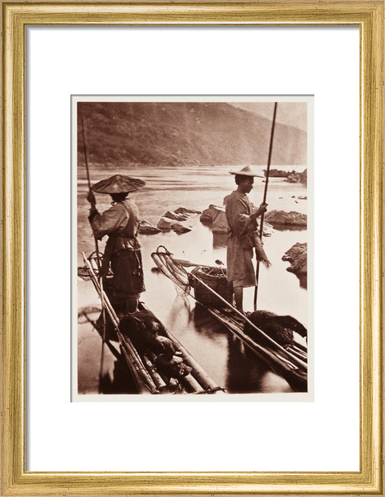 'Fishing With Cormorants', c 1871. art print small gold Art Print - Science Museum Shop