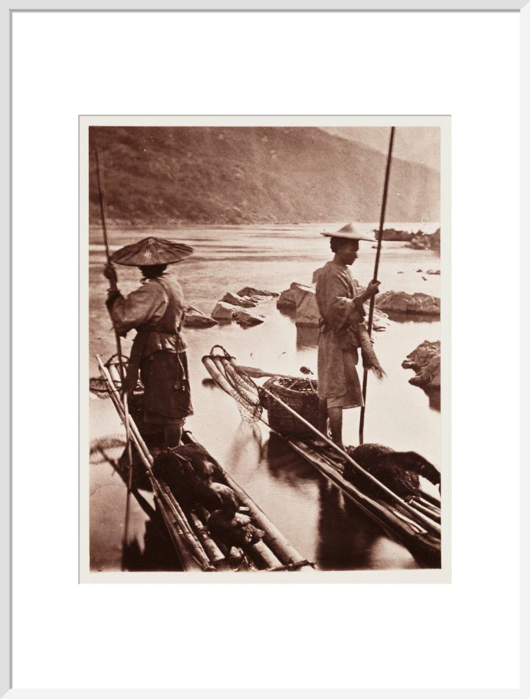 'Fishing With Cormorants', c 1871. art print extra large white Art Print - Science Museum Shop