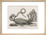 'The Seven-headed Hydra', 1806. art print small natural Art Print - Science Museum Shop