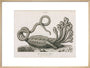 'The Seven-headed Hydra', 1806. art print large natural Art Print - Science Museum Shop